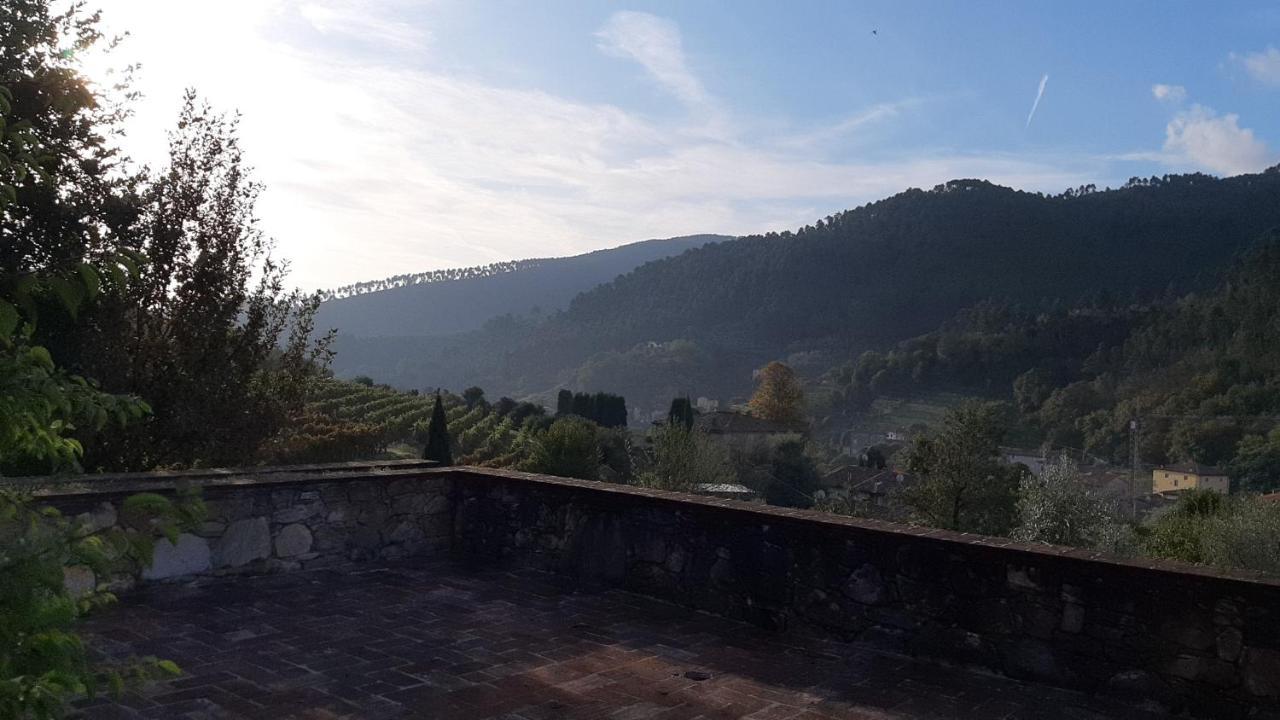 Agriturismo Alle Camelie Villa Capannori Luaran gambar