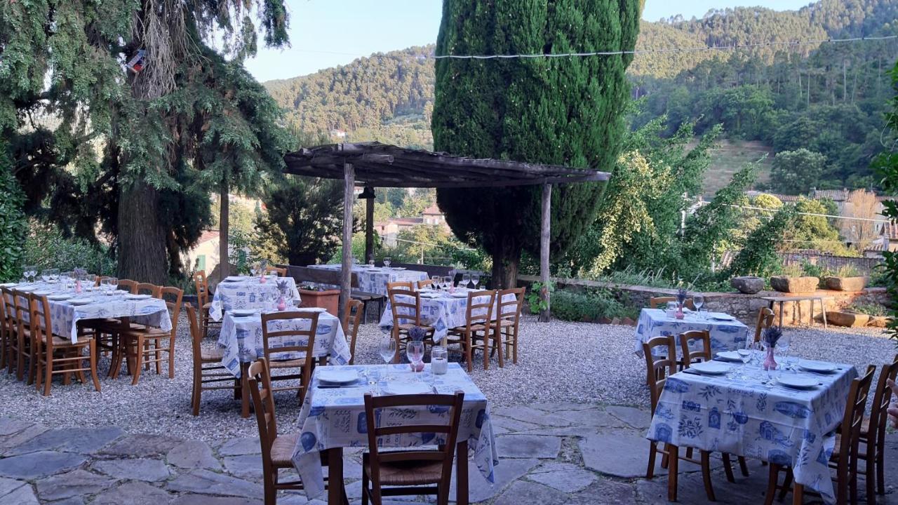 Agriturismo Alle Camelie Villa Capannori Luaran gambar
