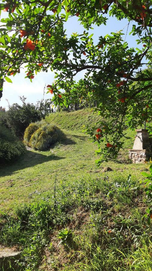Agriturismo Alle Camelie Villa Capannori Luaran gambar
